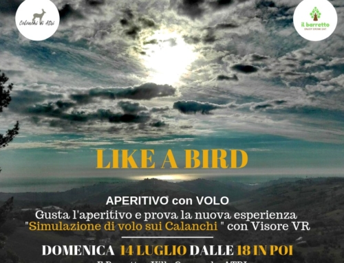 Domenica 14 Luglio 2019 – Esperienza di Volo sui Calanchi – Like a Bird
